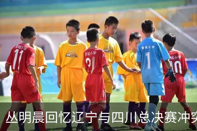 丛明晨回忆辽宁与四川总决赛冲突：首次与球迷冲突后不再带家属